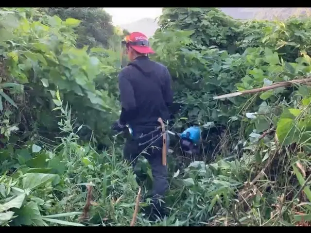 《臼杵市・津久見市中心・地域密着店》空家・藪・休耕地etc,,,サービスの画像