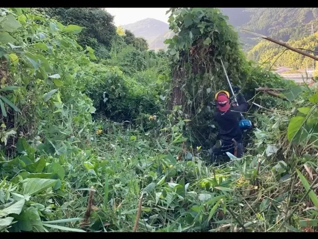 《臼杵市・津久見市中心・地域密着店》空家・藪・休耕地etc,,,サービスの画像