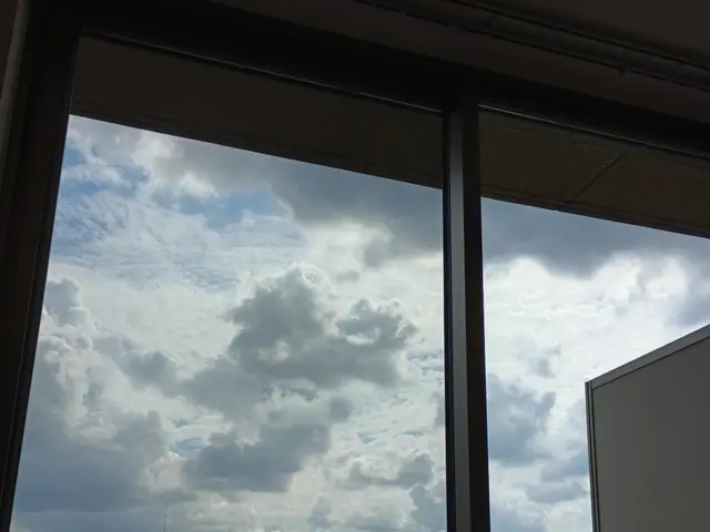 網戸貼り替え。【黒色】サービスの画像