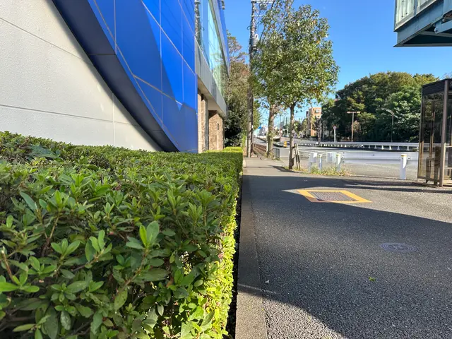 植え込み・垣根の剪定サービスの画像