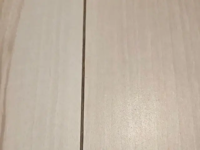 【即日対応相談可能】フットワーク軽め◉非喫煙者♪複数箇所OK★丁寧に仕上げます！サービスの画像