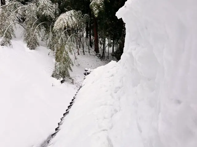 大雪にお困りではありませんか？雪かき雪下ろし致します！サービスの画像