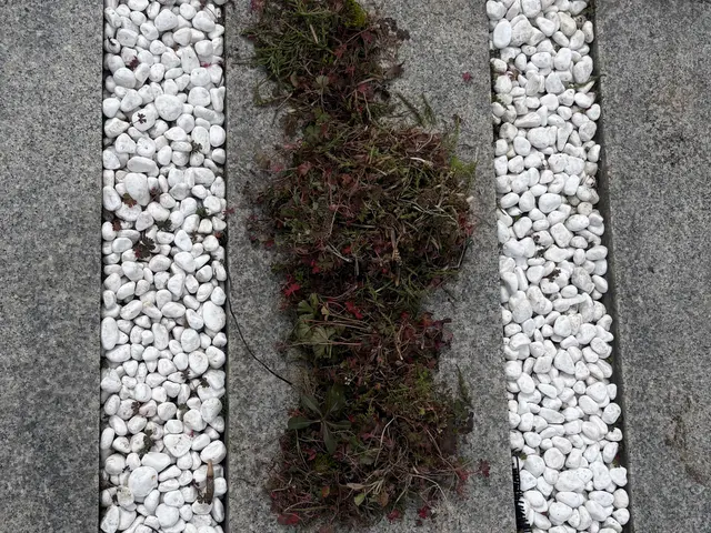 モニター価格!真心対応致します！お墓清掃・立会い不要サービスの画像