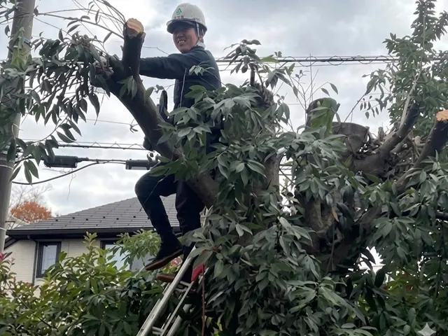 プロの技術でご満足いただけるように心を込めて作業いたしますサービスの画像