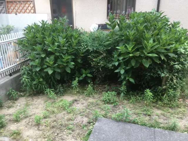 茨木市から伺います！作業外注なし、すべて自社で対応！損害保険加入済みサービスの画像