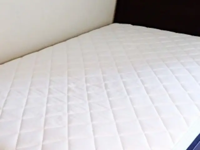 個人・法人対応｜親子で清掃業25年！業務用機械でマットレスのダニや汚れを徹底洗浄サービスの画像