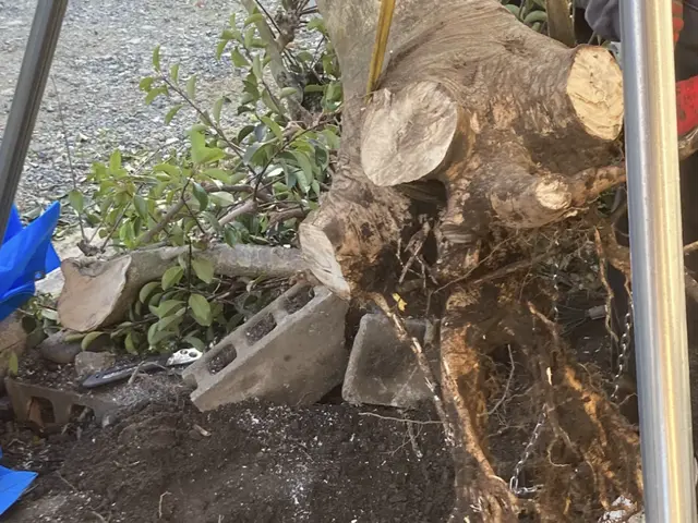 ◎予約から施工まで100%自社対応◎女性スタッフ活躍中♬◎損害保険加入店サービスの画像