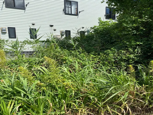 ◎予約から施工まで100%自社対応◎営業時間外も対応可◎損害保険加入店サービスの画像