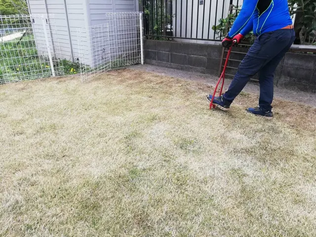 【口コミ賞受賞】 ■天然芝の管理■芝をよみがえらせたい方、一度ご相談ください！サービスの画像