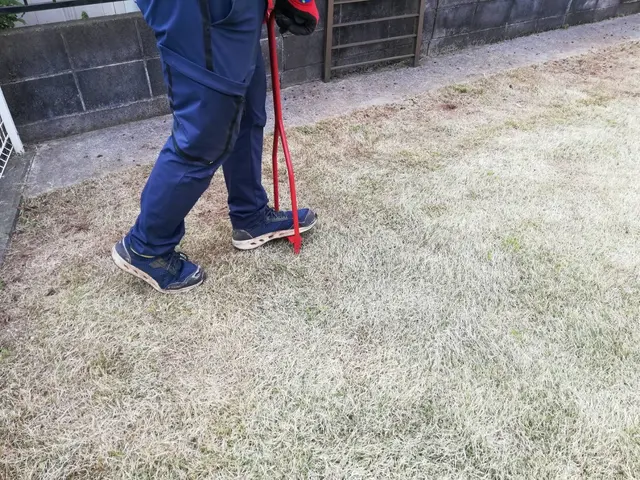 【口コミ賞受賞】 ■天然芝の管理■芝をよみがえらせたい方、一度ご相談ください！サービスの画像