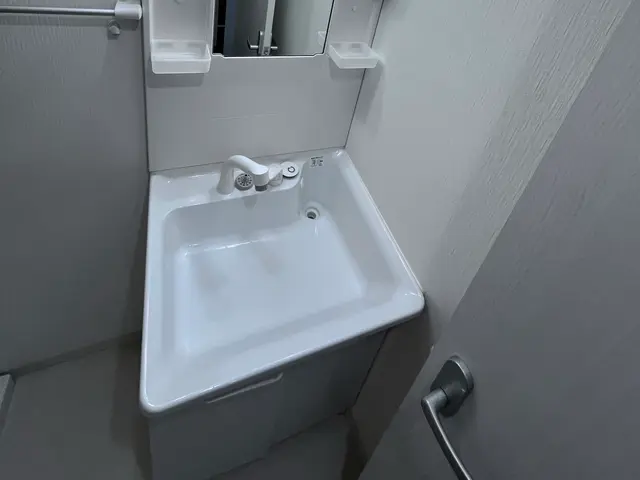 【損害保険加入済み◎】蛇口周りの白い塊、キレイにしたくないですか？サービスの画像