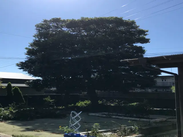 伐採・抜根・草刈り/外仕事専門会社の合同会社一二三商会◎現地調査無料で実施中ですサービスの画像