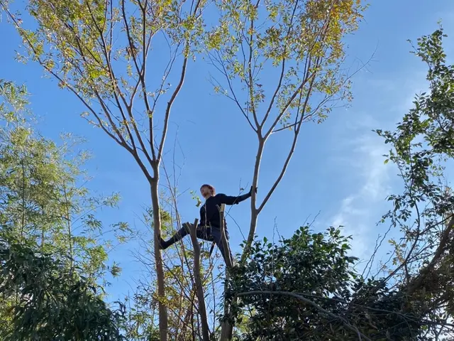 キャンセル待ち！日程についてなどまずはお問い合わせから！1本から可能♪サービスの画像