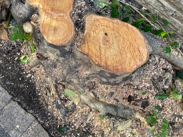 キャンセル待ち！日程についてなどまずはお問い合わせから！1本から可能♪サービスの画像