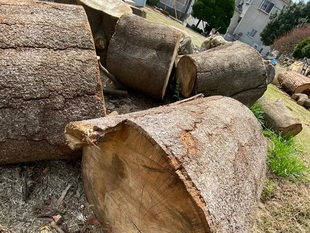 キャンセル待ち！日程についてなどまずはお問い合わせから！1本から可能♪サービスの画像