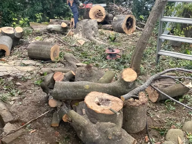 キャンセル待ち！日程についてなどまずはお問い合わせから！1本から可能♪サービスの画像