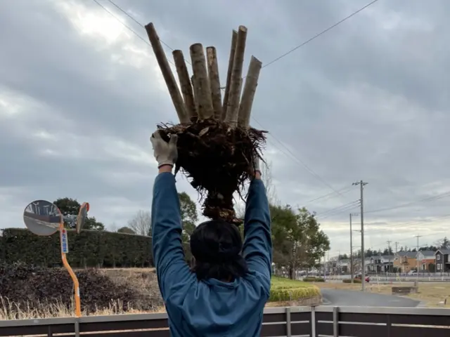 キャンセル待ち！日程についてなどまずはお問い合わせから！1本から可能♪サービスの画像