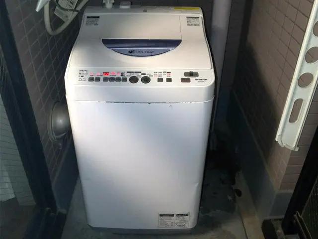 【当日•翌日対応相談可】【運搬･回収不可】洗濯機取り付け&取り外しサービスの画像