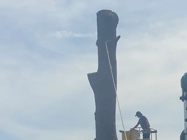 是非お気軽にお問い合わせ下さい♪~神奈川県外の方は日程調整必須~サービスの画像