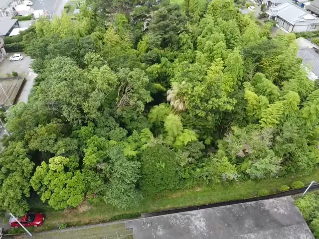 是非お気軽にお問い合わせ下さい♪~神奈川県外の方は日程調整必須~サービスの画像