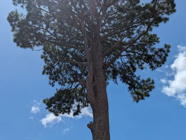 是非お気軽にお問い合わせ下さい♪~神奈川県外の方は日程調整必須~サービスの画像