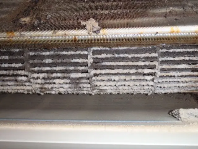 作業外注一切なし★損害保険加入済みだから安心です！サービスの画像