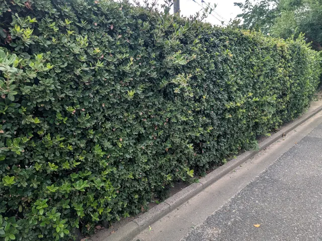 【業界25年！100％自社対応！】豊富な知識・経験を活かしてご対応いたします！サービスの画像