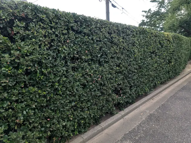 【業界25年！100％自社対応！】豊富な知識・経験を活かしてご対応いたします！サービスの画像