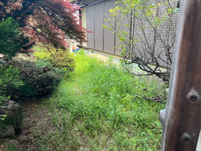 25年以上の経験と9,000件超の実績！美しさと生命力を引き出す庭木のプロサービスの画像