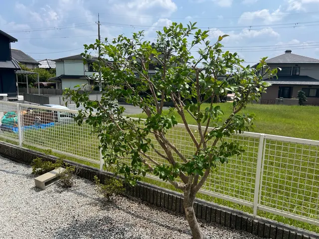 25年以上の経験と9,000件超の実績！美しさと生命力を引き出す庭木のプロサービスの画像