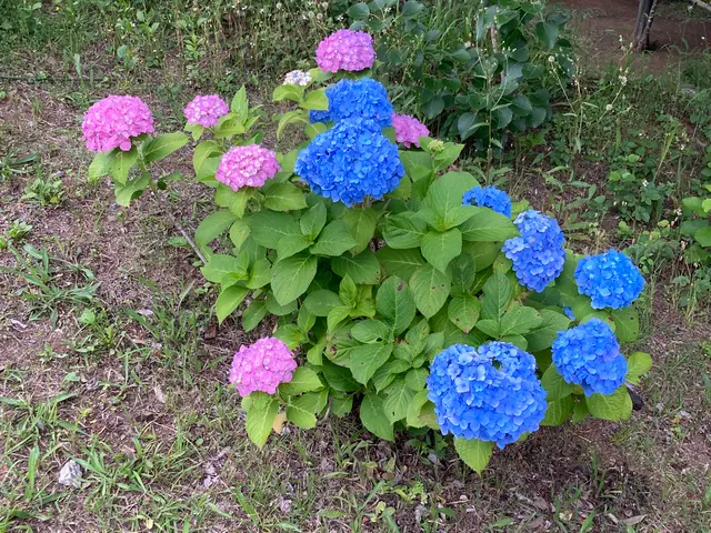 無料見積もり！お庭のお悩みが御座いましたらお気軽にお問い合わせ下さい♪サービスの画像