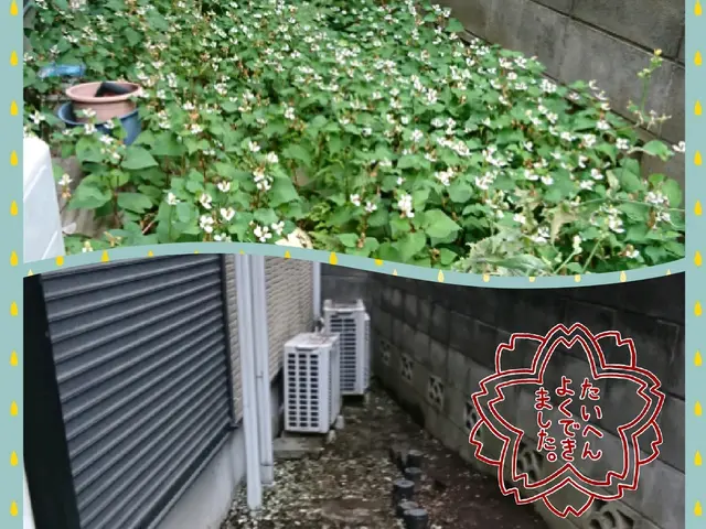 草むしり年間実績1200件！確かな実績●オンラインカード決済・後払い決済対応店！サービスの画像