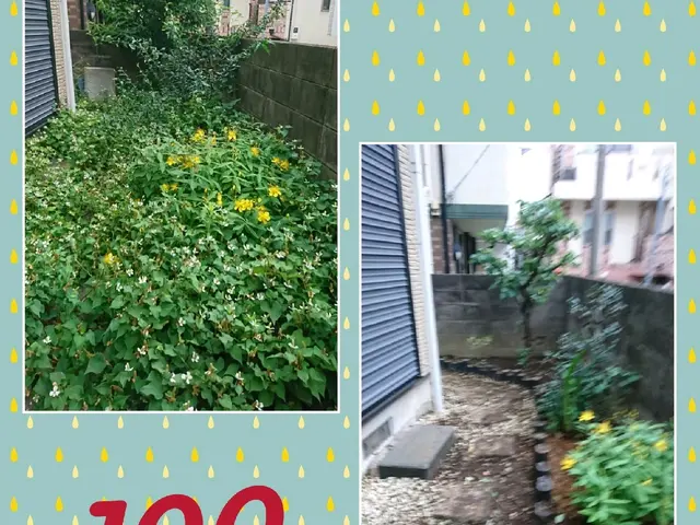 草むしり年間実績1200件！確かな実績●オンラインカード決済・後払い決済対応店！サービスの画像