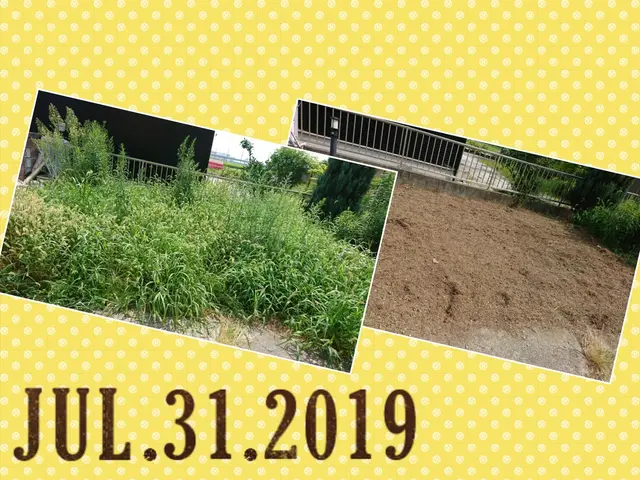 草むしり年間実績1200件！確かな実績●オンラインカード決済・後払い決済対応店！サービスの画像