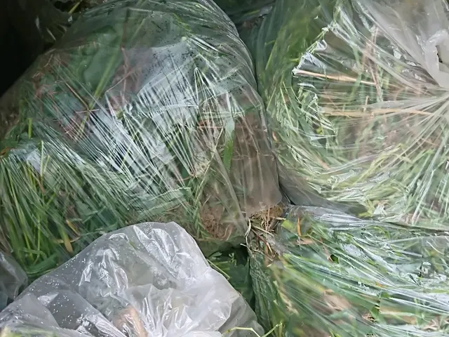 草むしり年間実績1200件！確かな実績●オンラインカード決済・後払い決済対応店！サービスの画像