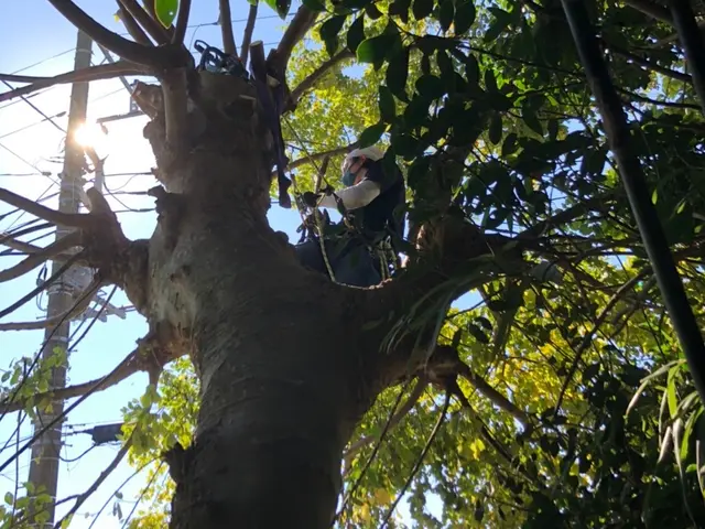 お客様のニーズに合わせ、しっかり対応させて頂きます！サービスの画像