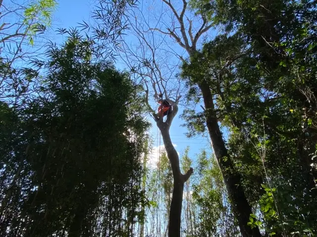 お客様のニーズに合わせ、しっかり対応させて頂きます！サービスの画像