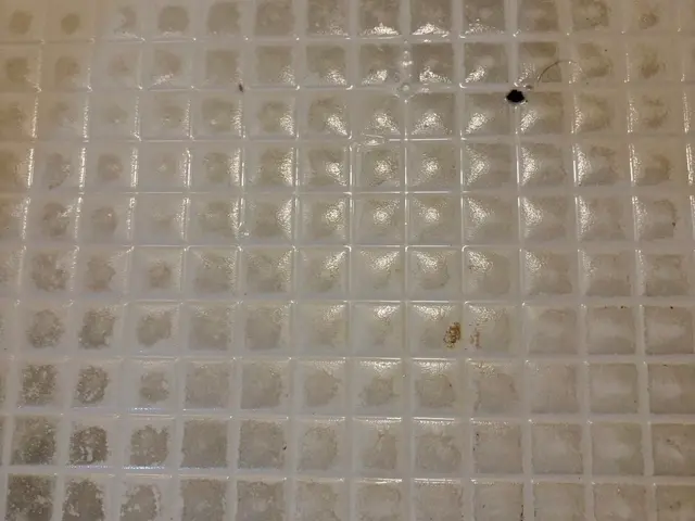 3日以内無料アフターサービス付き！丁寧な住まいの清掃代行サービスの画像