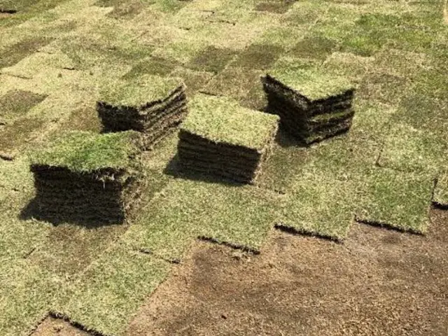 安心の損害保険加入済み◎100％自社対応◎営業時間外もご相談ください！サービスの画像