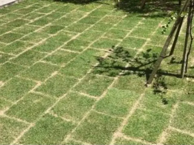 安心の損害保険加入済み◎100％自社対応◎営業時間外もご相談ください！サービスの画像