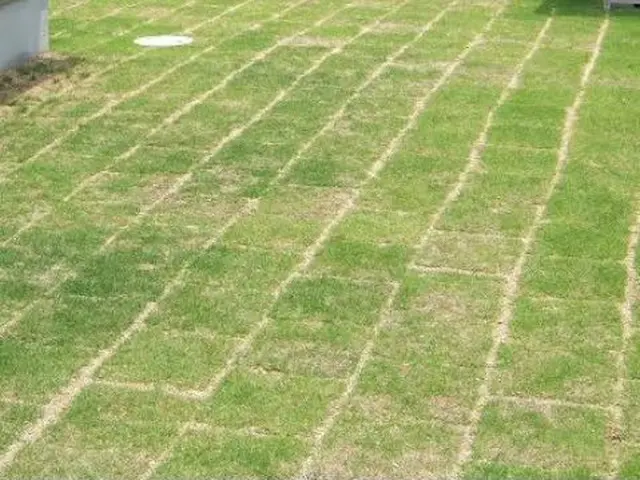 安心の損害保険加入済み◎100％自社対応◎営業時間外もご相談ください！サービスの画像