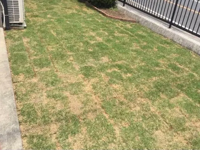 安心の損害保険加入済み◎100％自社対応◎営業時間外もご相談ください！サービスの画像