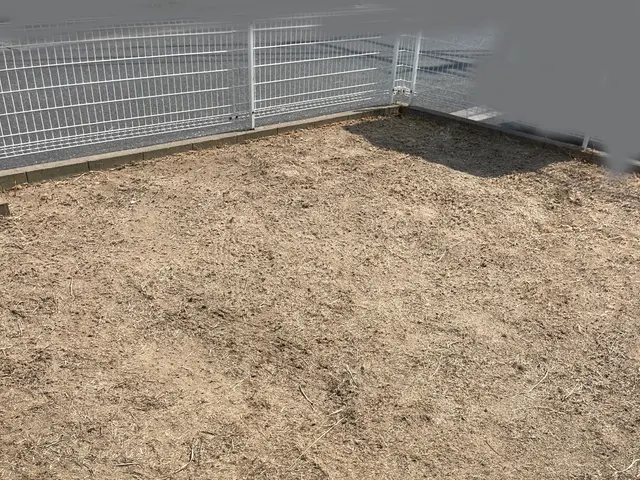 【草刈り】草刈りおまかせ下さい！どんな場所でも綺麗サッパリ！サービスの画像