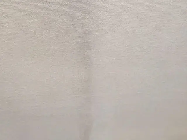 6/26～予約可、ビニールクロス、（壁面、天井）クリーニング）３０年の実績サービスの画像