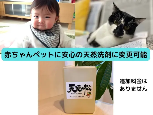 まもなく終了！11月限定・完全分解（オプション代）1台無料キャンペーンサービスの画像