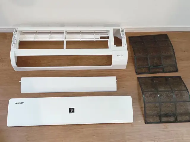 業界歴10年・総作業1,000件超！忍者のようにテキパキ動く柔軟なお掃除サービスサービスの画像