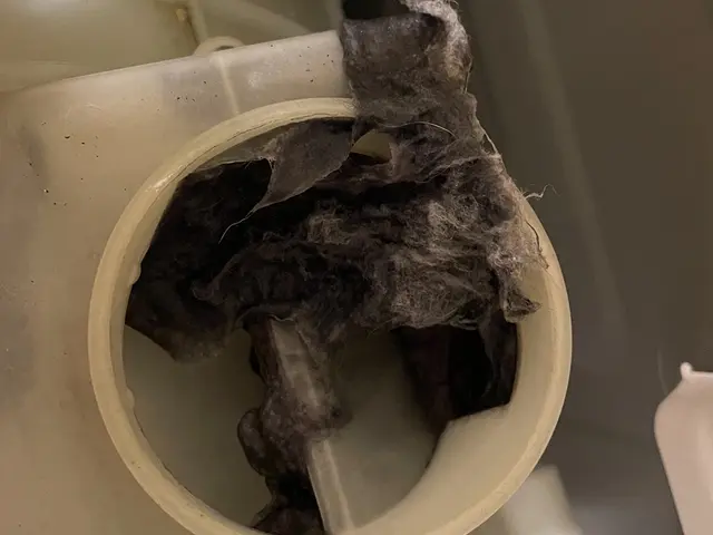 ドラム式洗濯機専門クリーニング！ご家族に寄り添う1児のパパが訪問サービスの画像