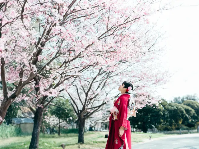 1級着付け師【⠀お支度から撮影まで全て完結⠀】自社スタジオでの撮影付きサービスの画像