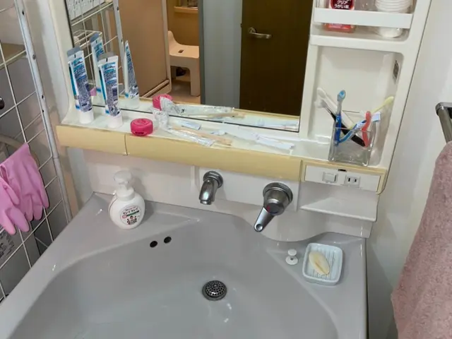 【年末前の今がお得】洗面所クリーニングで清潔＆爽快な毎日へサービスの画像