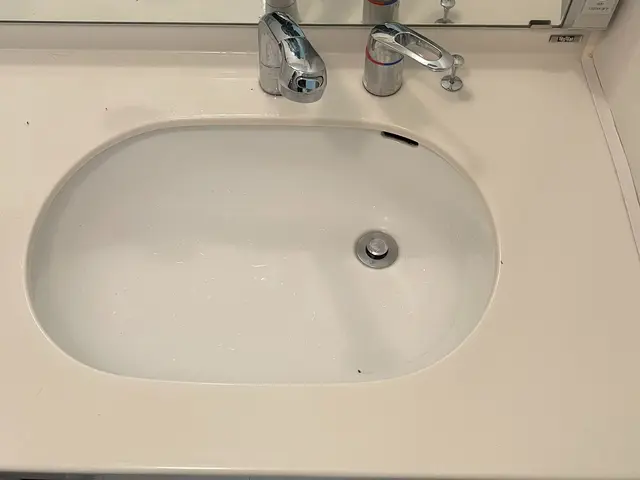 【年末前の今がお得】洗面所クリーニングで清潔＆爽快な毎日へサービスの画像